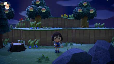 mystery tour island animal crossing ACNH - Two Step Cliffs Island