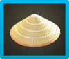 Bamboo Hat Image