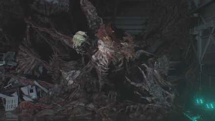 Stage 3 Nemesis C.jpg