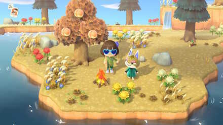 mystery tour island animal crossing ACNH - Island with a Waterfall at the Back