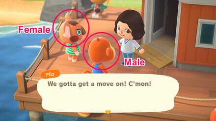 Animal Crossing: New Horizons: Villager List - Personalities And Gift Guide