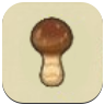 Elegant Mushroom Image