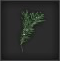 Green Herb Icon.png