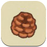 Pine Cone Image