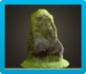 Mossy Garden Rock Image