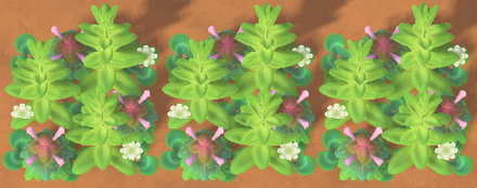 ACNH - Weeds in Spring Stage 3