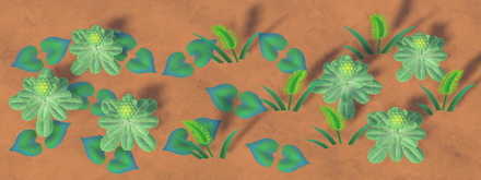 ACNH - Weeds in Summer Stage 2