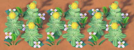 ACNH - Weeds in Summer Stage 3