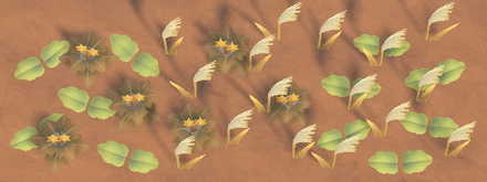 Weeds in Late Autumn Stage 2