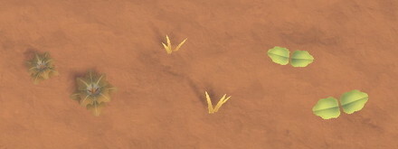 Weeds in Late Autumn Stage 1