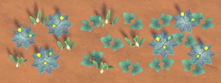 Weeds in Winter Stage 2