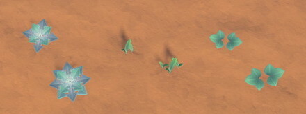 Weeds in Winter Stage 1