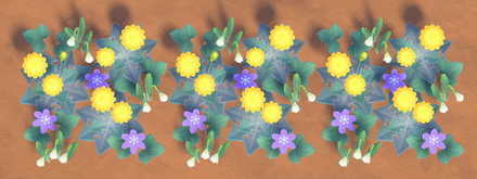 Weeds in Winter Stage 3