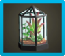 Terrarium Image
