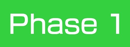 Phase 1.jpg