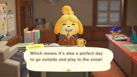 Snowflake pochette, Animal Crossing Wiki