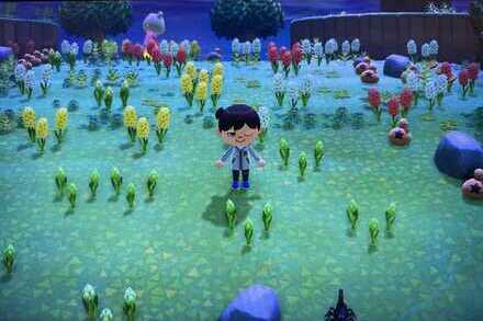 mystery tour island animal crossing ACNH - Scorpion Island with Money Rocks