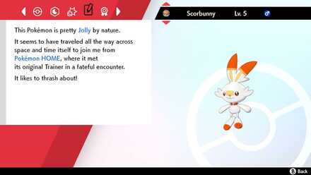 ScorbunnyinShield.jpg