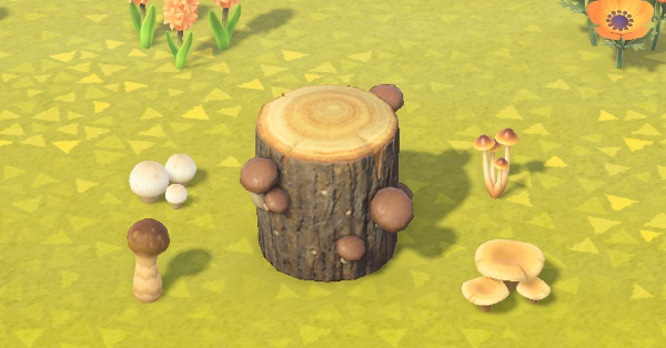 How to Get Mushrooms and How to Use Them Animal Crossing