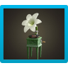 Lily Record Player Image