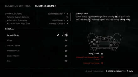 The last of us 2 Remapping.jpeg