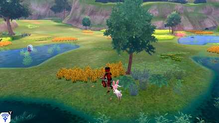 All 150 Diglett Locations - Soothing-Wetlands-Digletts 4.jpg