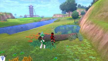 All 150 Diglett Locations - Soothing-Wetlands-Digletts 18.jpg