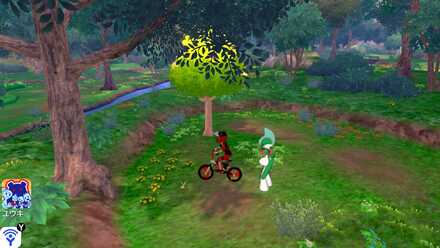 All 150 Diglett Locations - Forest-of-Focus-Diglett 8.jpg