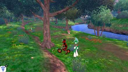 All 150 Diglett Locations - Forest-of-Focus-Diglett 4.jpg