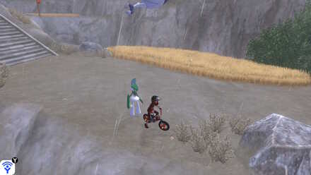 All 150 Diglett Locations - Challenge-Road-Digletts 6.jpg