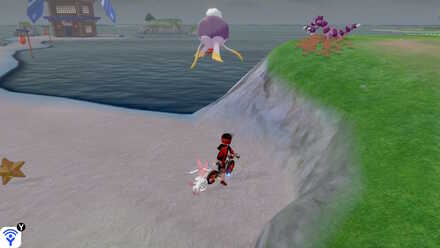 All 150 Diglett Locations - Challenge-Beach-Digletts 3.jpg