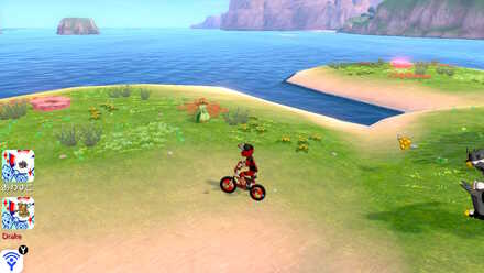 All 150 Diglett Locations - Honeycalm-Island-Digletts 10.jpg