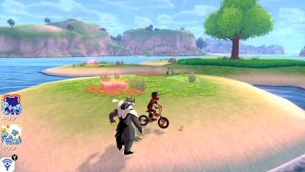 All 150 Diglett Locations - Honeycalm-Island-Digletts 8.jpg