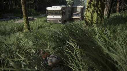 Combat Tips - Prone.jpg