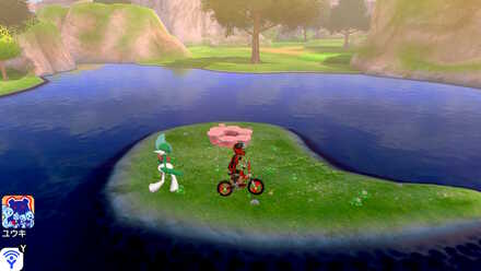 All 150 Diglett Locations - Training-Lowlands-Digletts 8.jpg