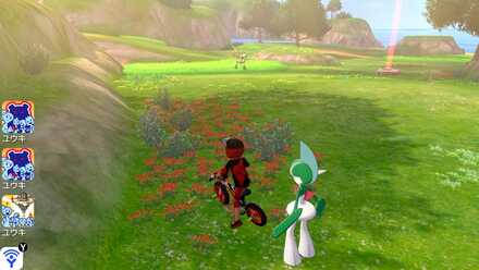 All 150 Diglett Locations - Training-Lowlands-Digletts 5.jpg