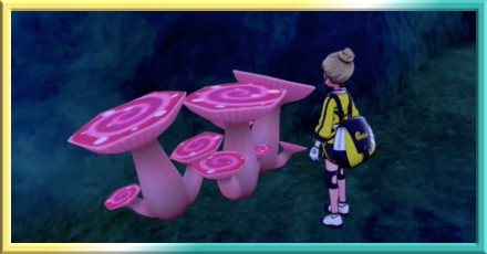 Max Mushroom Icon.png