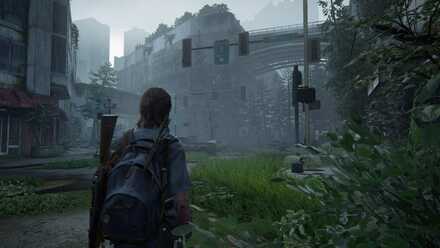 Following Route 5-min.jpg