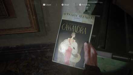 Program for Cassandra.jpg