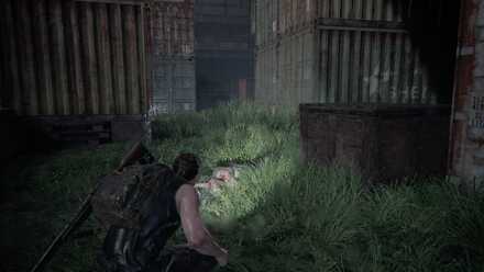 2. Infected Area.jpg