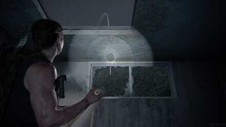 17 .Throwing the rope outside.jpg