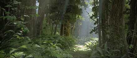 Seattle Day 1 - Ellie.jpg