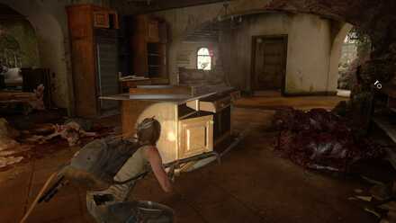 5. Inside the House.jpg