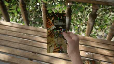 Zoo Holiday Brouchure.jpg