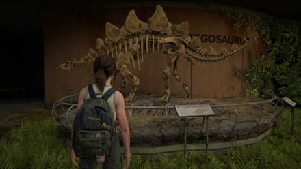 Looks Good on You - Stegosaurus.jpg