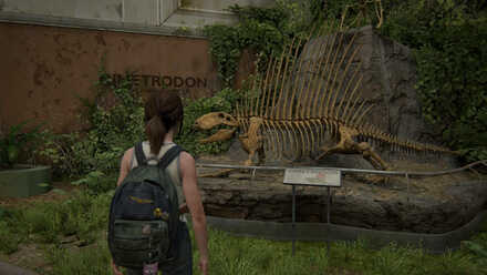 Looks Good on You - Dimetrodon.jpg