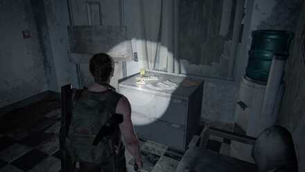 Firearms -  Training Manual Abby.jpg