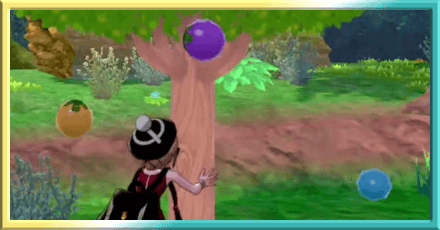 Apricorns from Trees