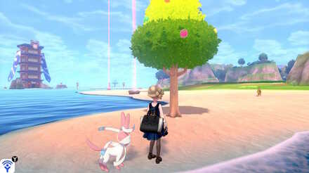 challenge beach blue apricorn.jpeg