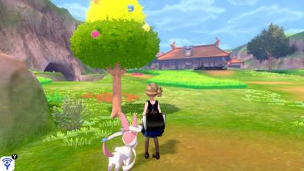 fields of honor blue apricorn.jpeg